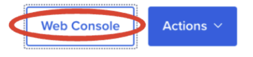 web console